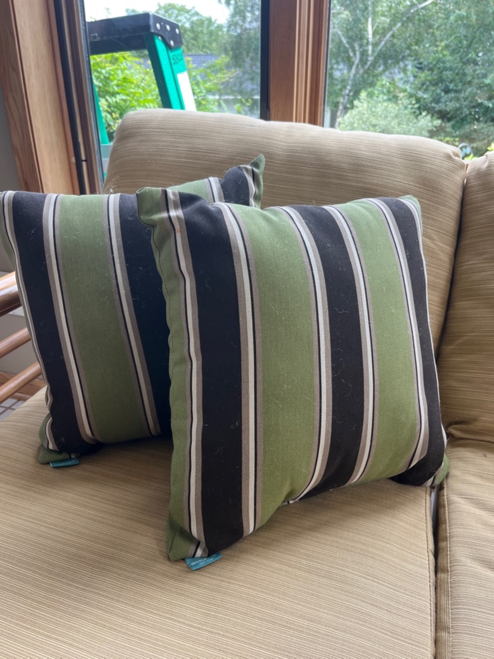 Target Home Outdoor Accent Pillows set of 2